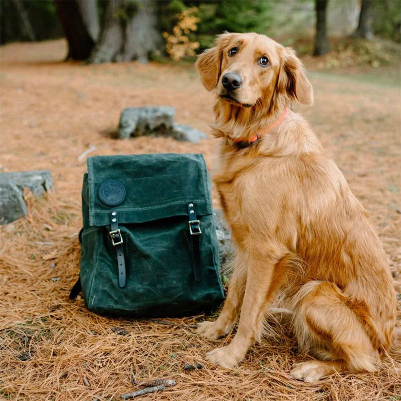 Laptop Scoutmaster in Waxed Olive Drab canvas by Duluth Pack set on the forest floor beside a golden retriever, showcasing durable outdoor gear heritage.