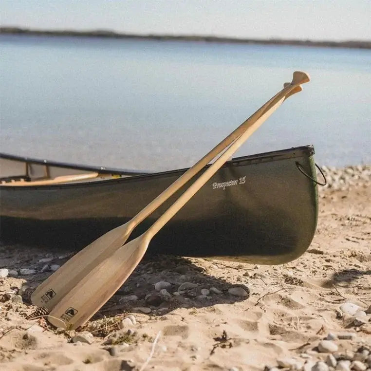 Bending Branches Loon Paddles Resting On A Canoe on A Beach
