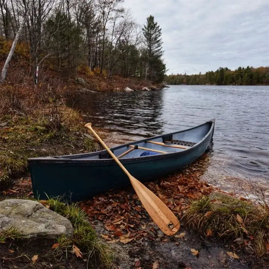 Bending Branches Beavertail Paddle Resting On A Canoe On The Shore Of A Lake