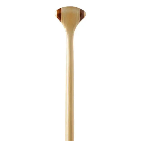 Bending Branches Java 11 Paddle Grip On A White Background