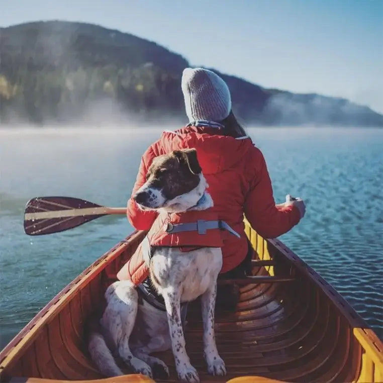 Bending Branches Java 11 Paddle Being Used By A Women In A Canoe On A Lake With A Dog