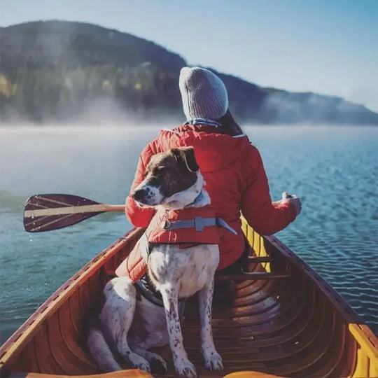 Bending Branches Java 11 Paddle Being Used By A Women In A Canoe On A Lake With A Dog