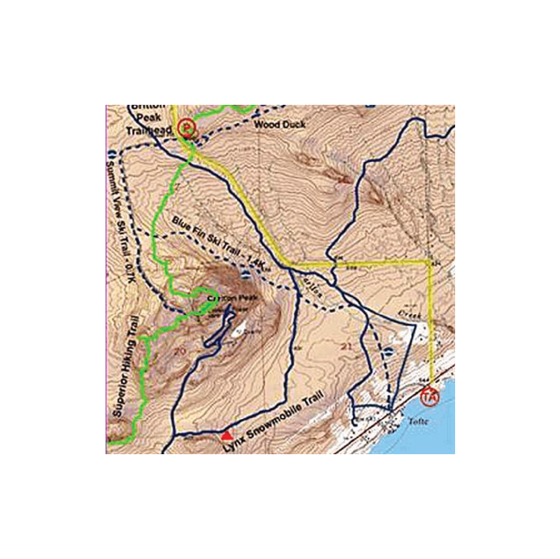 McKenzie map on white background