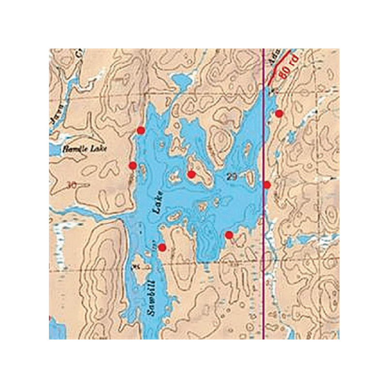 McKenzie map on white background