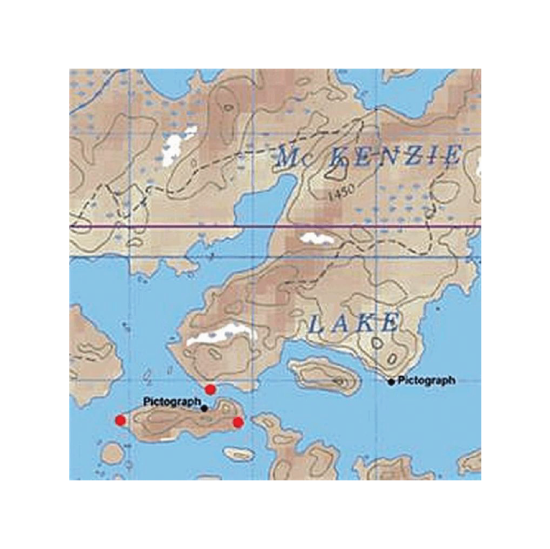 McKenzie map on white background