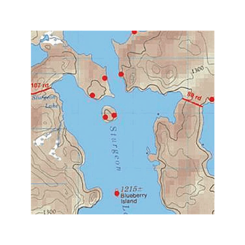 McKenzie map on white background