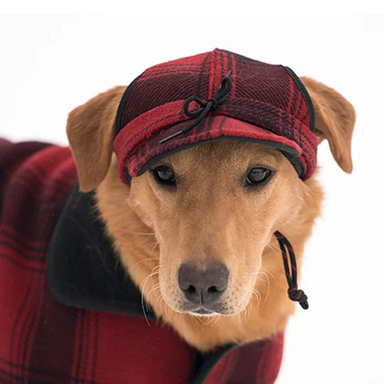 Stormy Kromer Critter Kromer in red  with a dog wearing it with a white background
